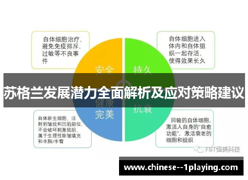 苏格兰发展潜力全面解析及应对策略建议 苏格兰发展潜力全面解析及应对策略建议