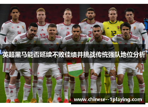 英超黑马能否延续不败佳绩并挑战传统强队地位分析 英超黑马能否延续不败佳绩并挑战传统强队地位分析