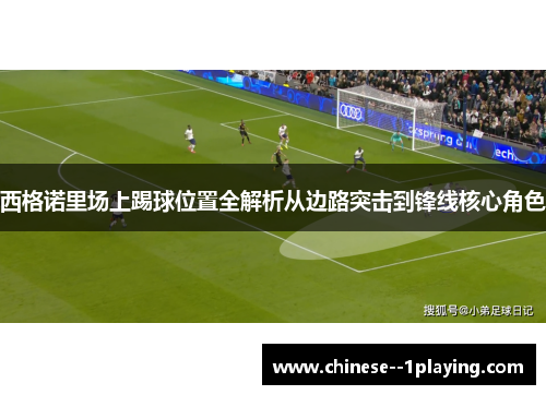 西格诺里场上踢球位置全解析从边路突击到锋线核心角色