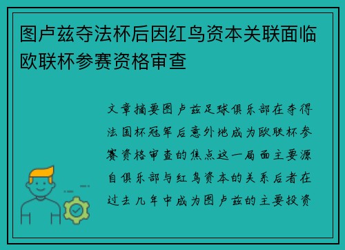 图卢兹夺法杯后因红鸟资本关联面临欧联杯参赛资格审查